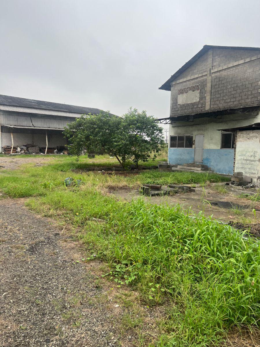 Venta 12.205.95 m² Sector Los Álamos, Norte de Guayaquil, Av C. L. Plaza Dañin y Av Elías Muñoz, Guayas — imagen 3