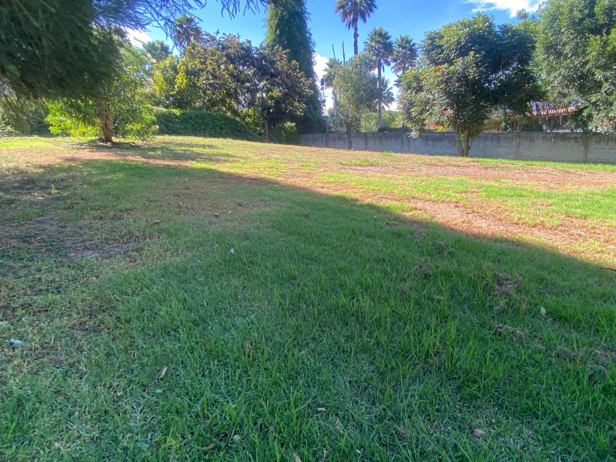 Cumbaya - La Vieja Hacienda. Lote de Oportunidad 1.065 m² X $430 X M1 — imagen 3
