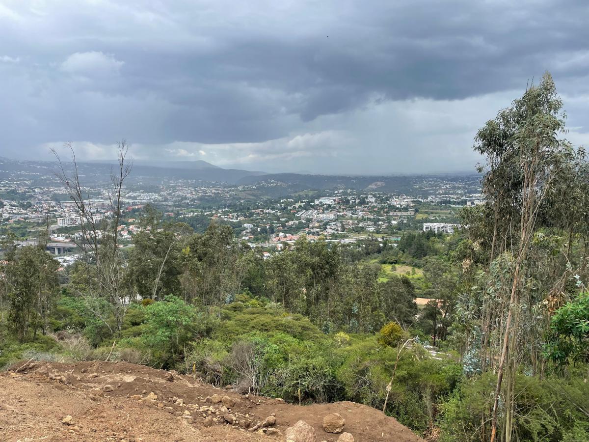 Vendo Lote de Terreno en El Ilalo — imagen 5