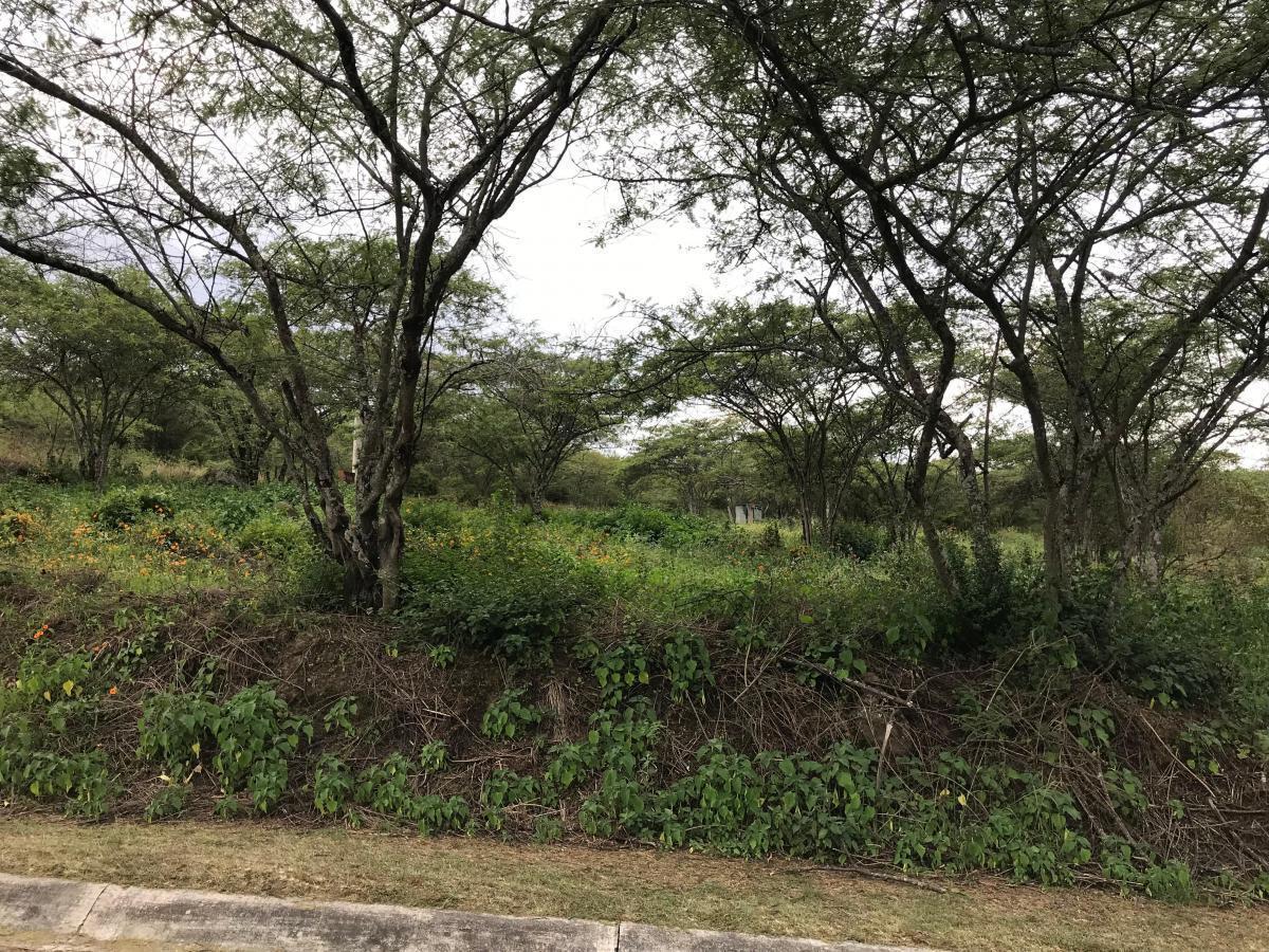 Vendo Lote de Terreno en El Ilalo — imagen 4