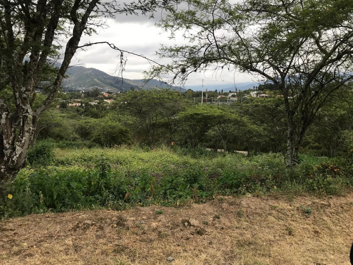Vendo Lote de Terreno en El Ilalo — imagen 3