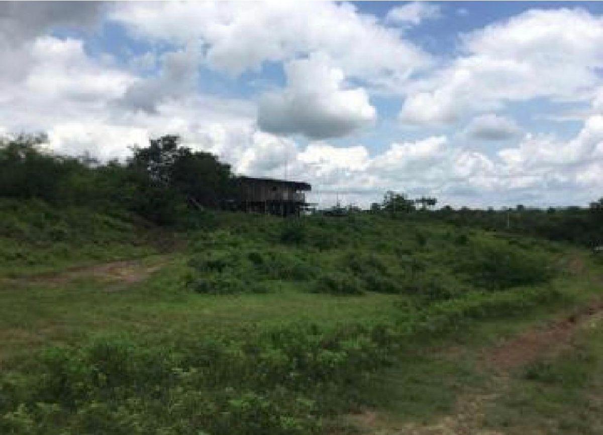 Venta Terreno 13 has (130.000), C Via Salitre, Km. 10, Al Pie de La Vía, Cantón Daule, Guayas — imagen 5