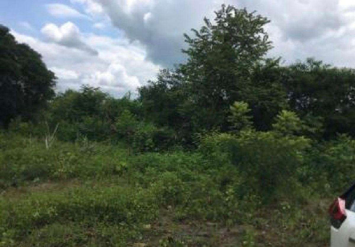 Venta Terreno 13 has (130.000), C Via Salitre, Km. 10, Al Pie de La Vía, Cantón Daule, Guayas — imagen 4
