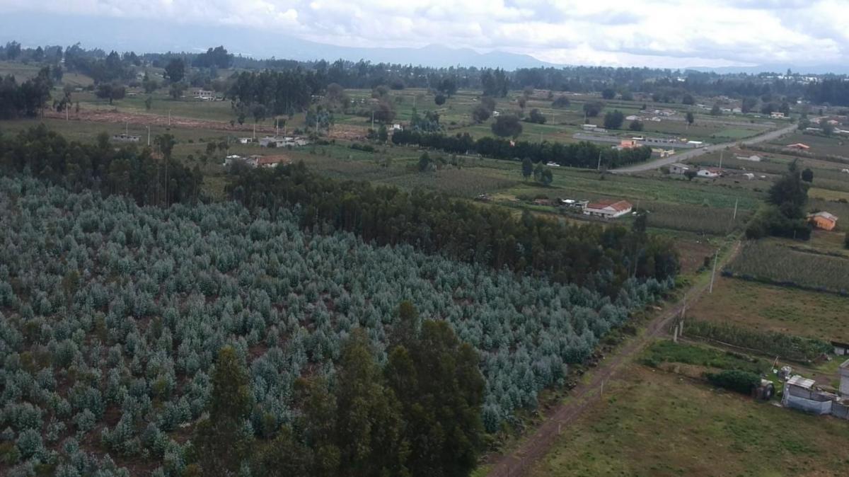 Terreno de Venta en Latacunga, Cotopaxi — imagen 4