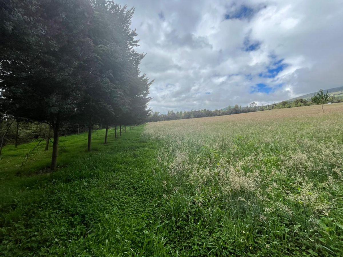 Vendo - Propiedad - Sector Machachi — imagen 4