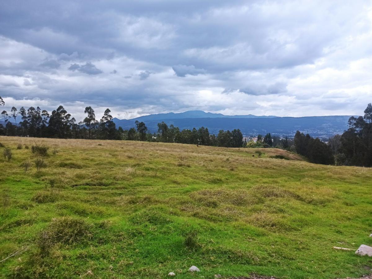 Venta Terreno 2500 m². Valle Los Chillos - Centro Comercial San Luis — imagen 5