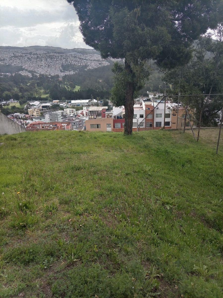 Terreno de Venta en Urbanizacion Caminos del Balcon — imagen 4