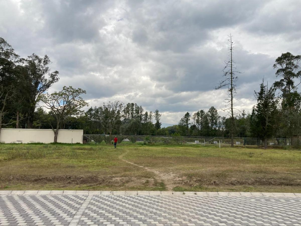 Terreno de Venta Ubicado Dentro de Urbanización Nueva en Puembo, Ideal Ubicación — imagen 5