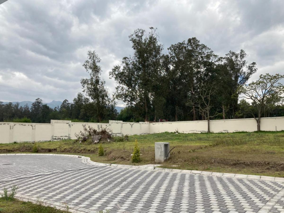 Terreno de Venta Ubicado Dentro de Urbanización Nueva en Puembo, Ideal Ubicación — imagen 4