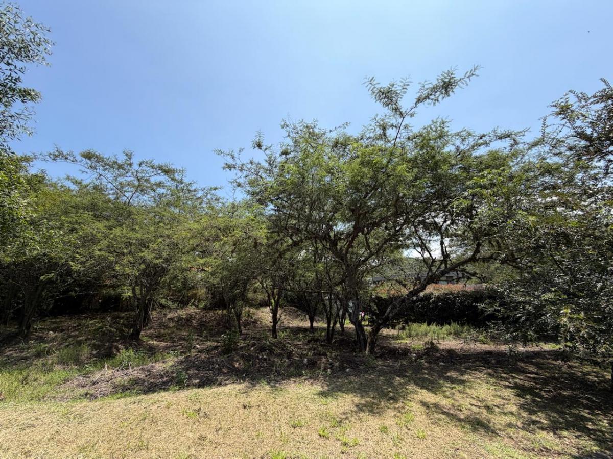 Vendo Terreno Unifamiliar Esquinero, Sector La Viña/ Tumbaco — imagen 4