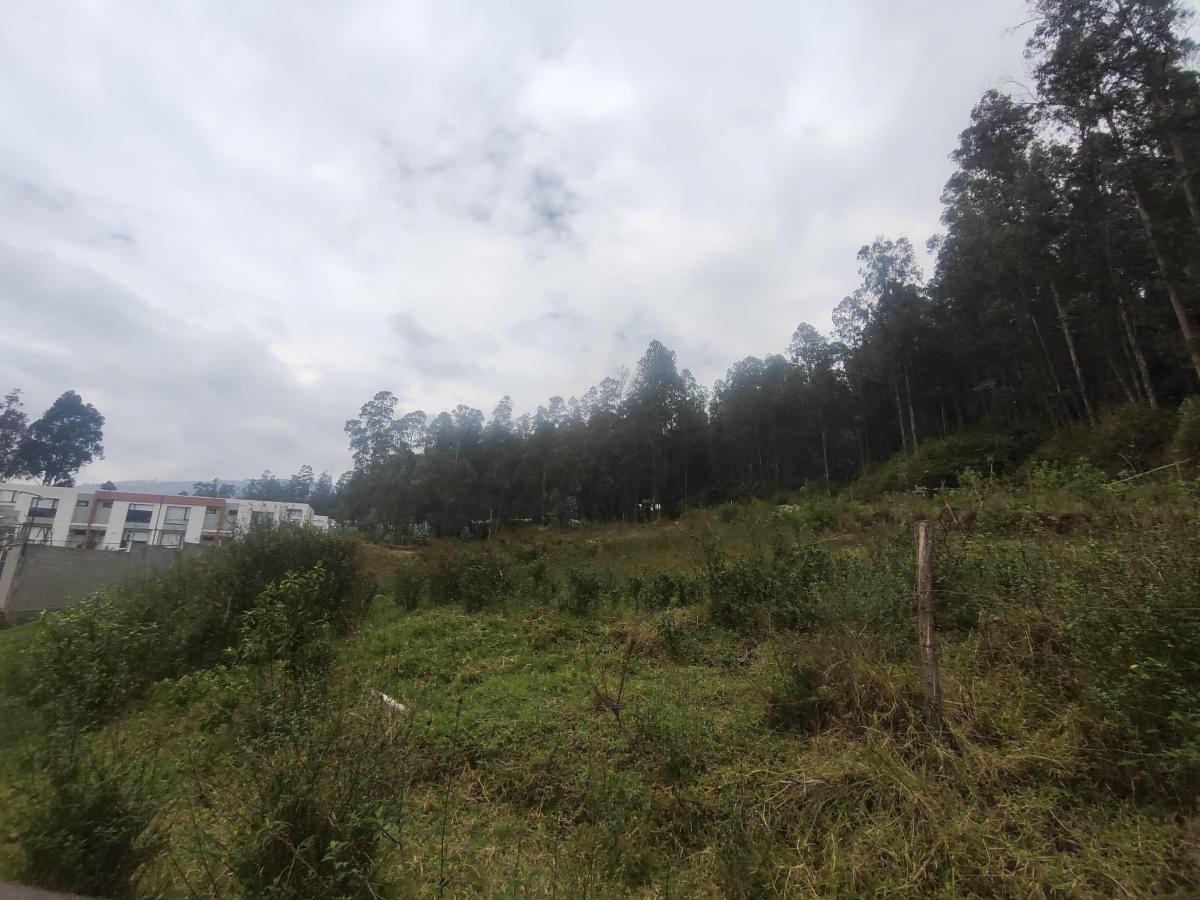 Terreno Esquinero en Venta de 2.841 m² en La Armenia — imagen 4