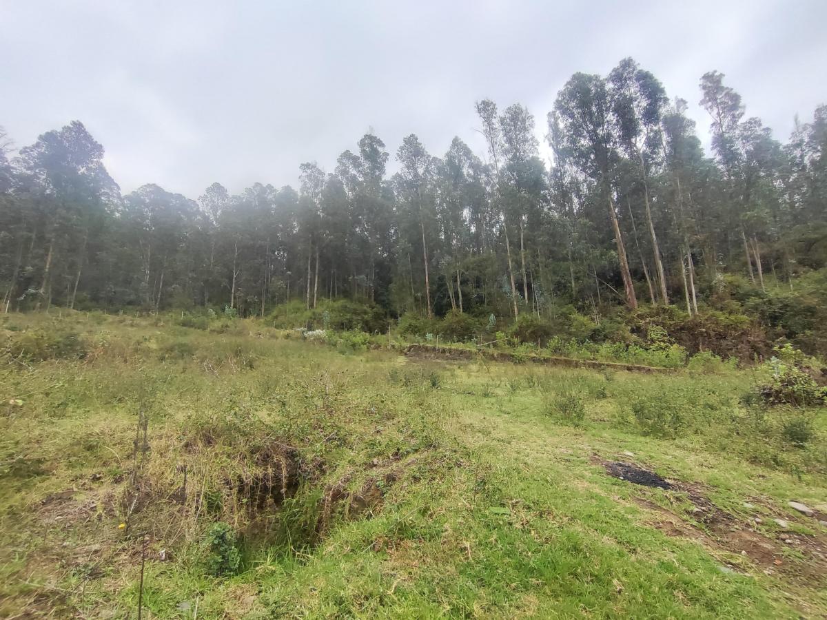 Terreno Esquinero en Venta de 2.841 m² en La Armenia — imagen 3