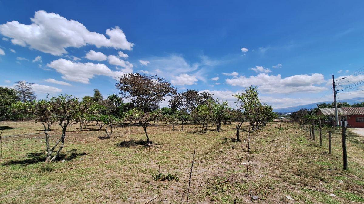 Terreno 12.200 m² Puembo - Tumbaco en Remate $550.000 Alta Plusvalía Inversión Segura Ya Hoy — imagen 4