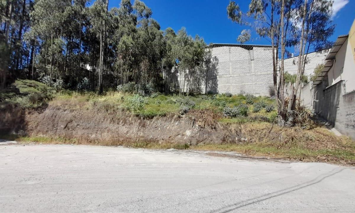 Vendo Terreno 1006 m - Uso de Suelo Industrial Alto Impacto – Eloy Alfaro — imagen 3