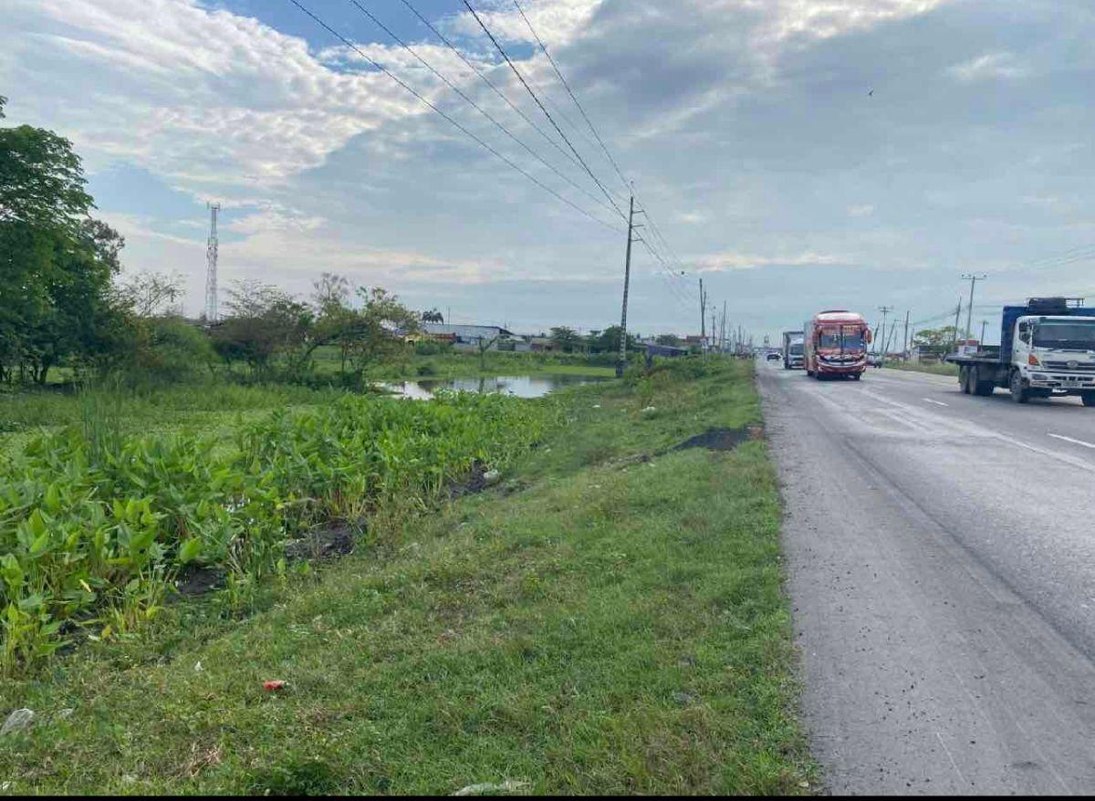 Venta 290.000 m² en La Vía a Los Lojas, Se Ingresa Desde La Via a Salitre Km12 por Via Asfaltada, Guayas — imagen 5