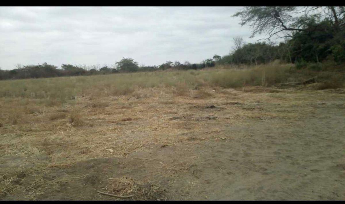 Venta 290.000 m² en La Vía a Los Lojas, Se Ingresa Desde La Via a Salitre Km12 por Via Asfaltada, Guayas — imagen 4