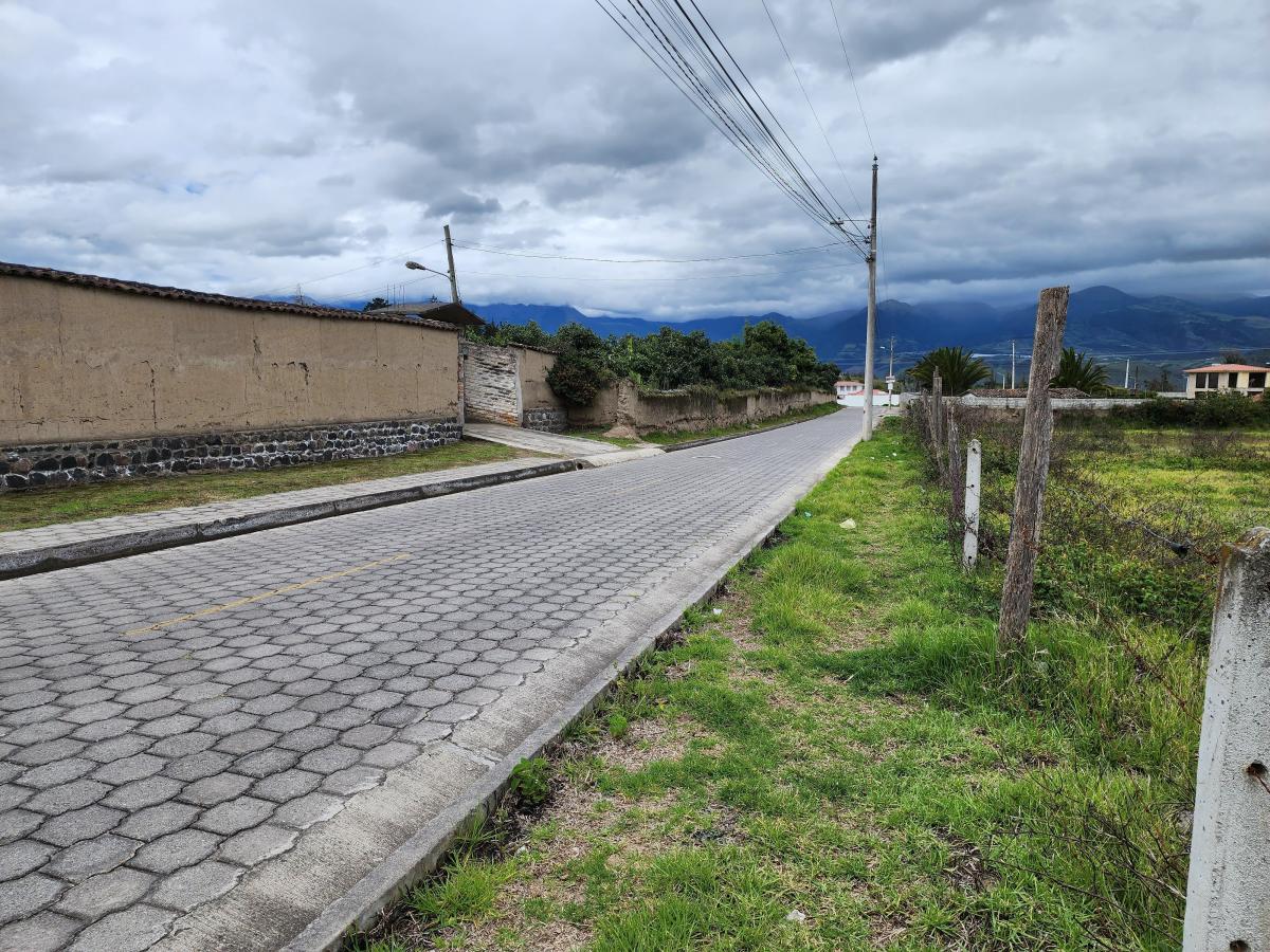 Vendo Terreno Plano 18.000 m en Chaltura Bellavista Imbabura, Imbabura — imagen 5