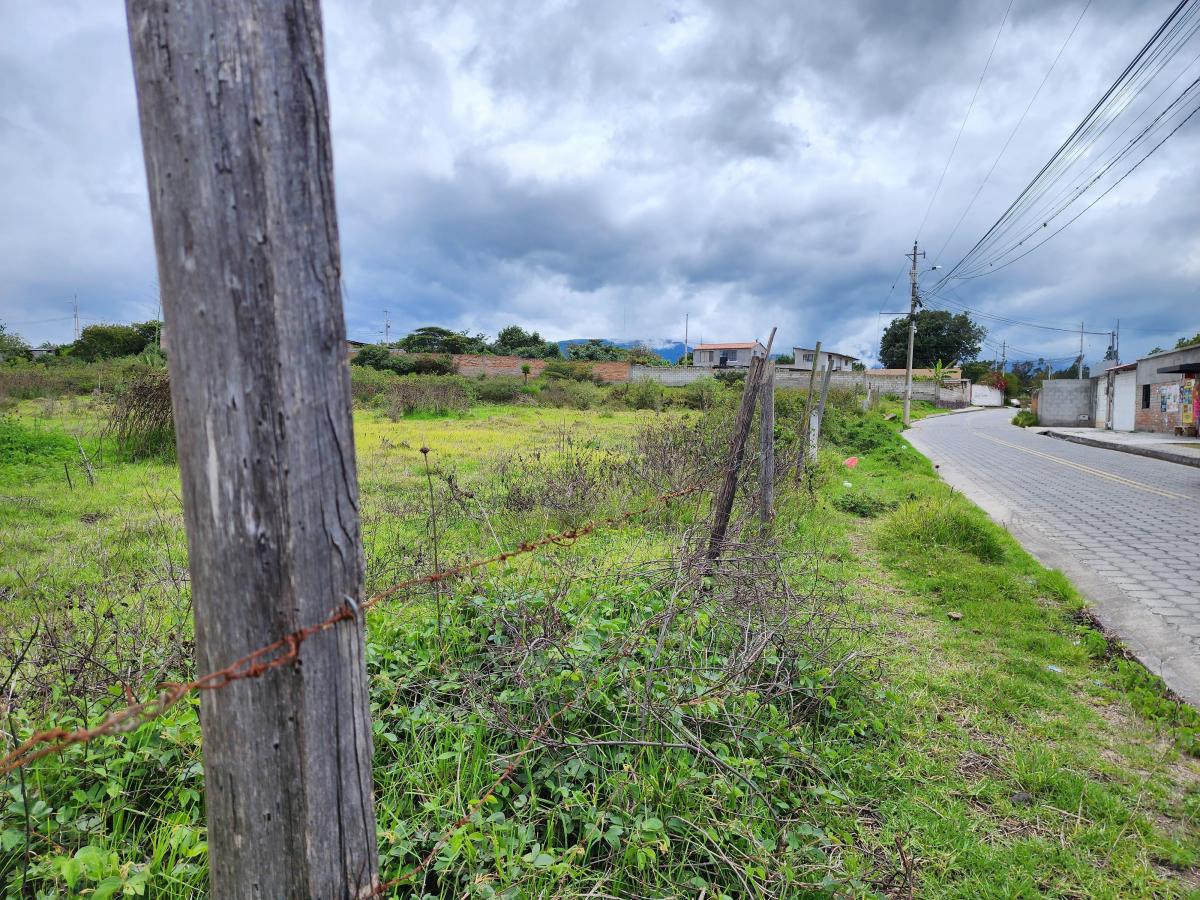 Vendo Terreno Plano 18.000 m en Chaltura Bellavista Imbabura, Imbabura — imagen 4