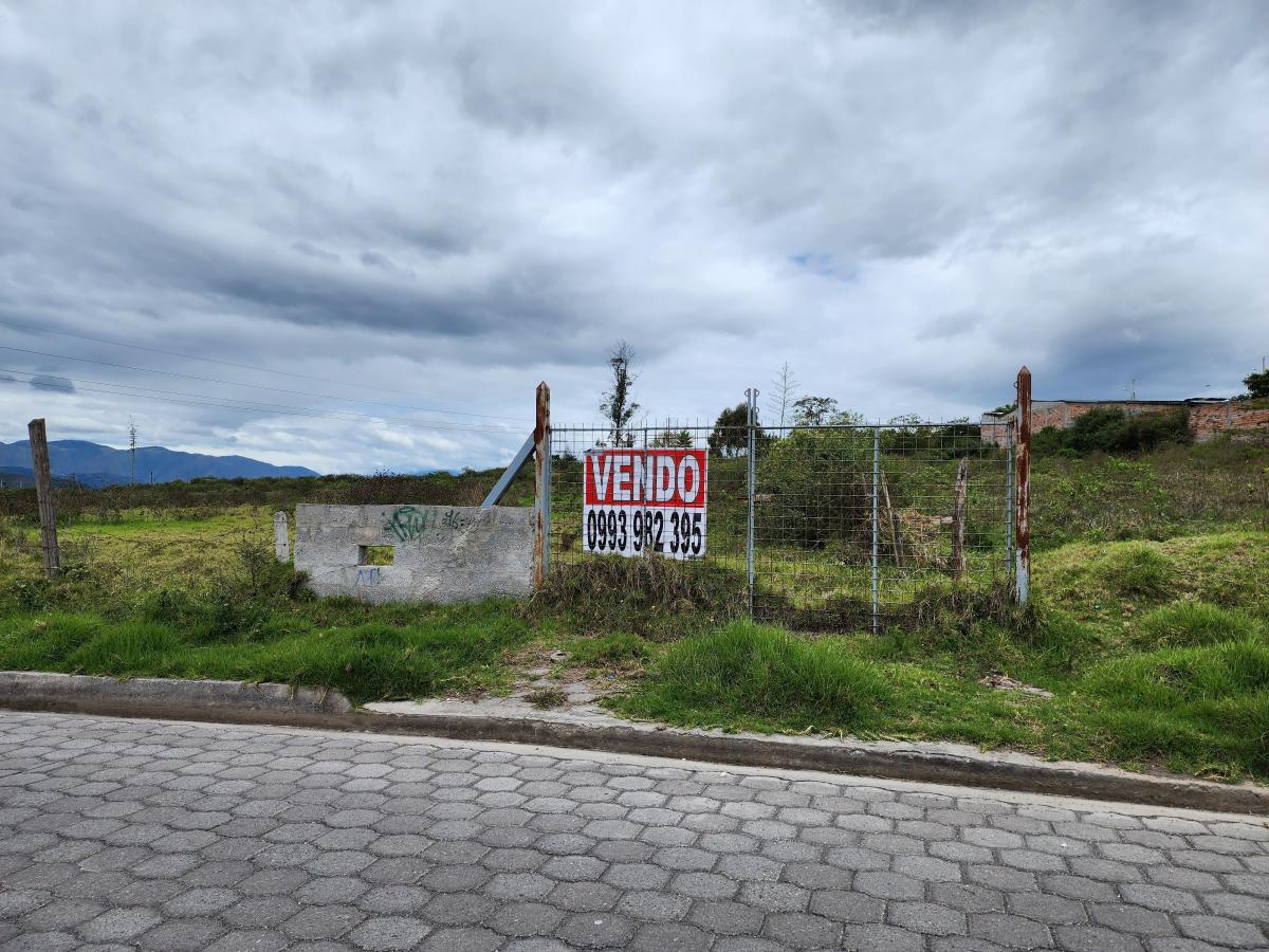 Vendo Terreno Plano 18.000 m en Chaltura Bellavista Imbabura, Imbabura — imagen 3