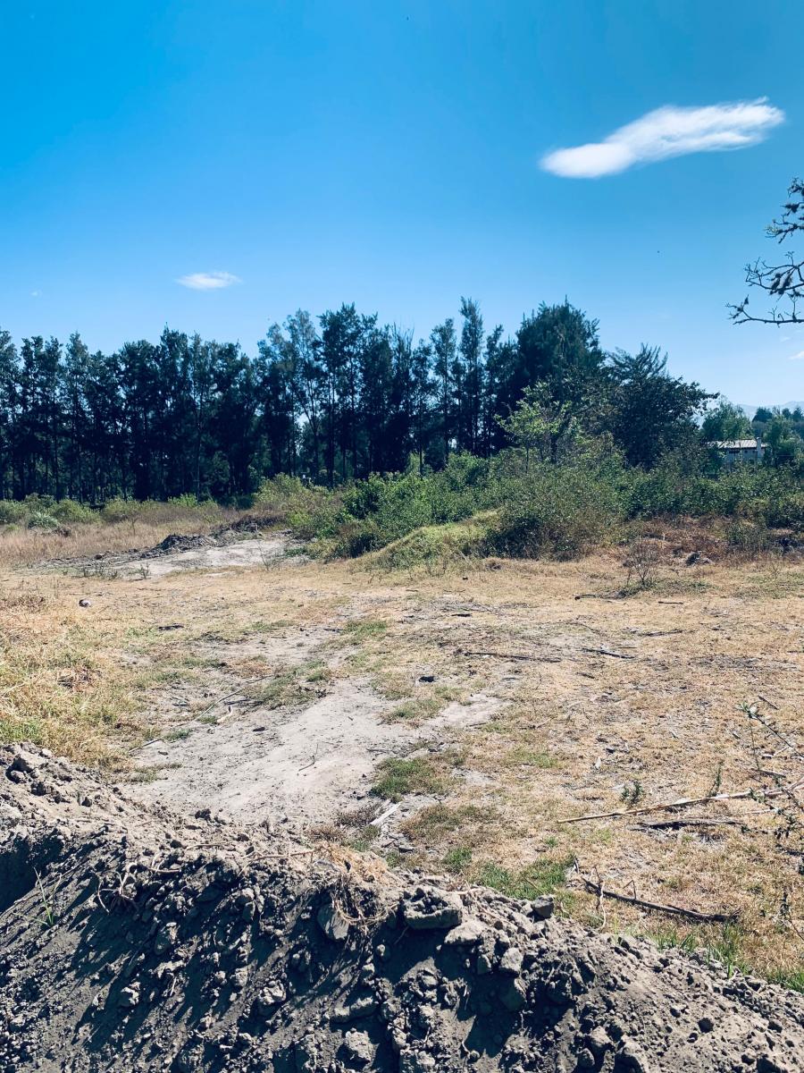 Venta Terreno Puembo 3300 m² Vía Arrayanes — imagen 5