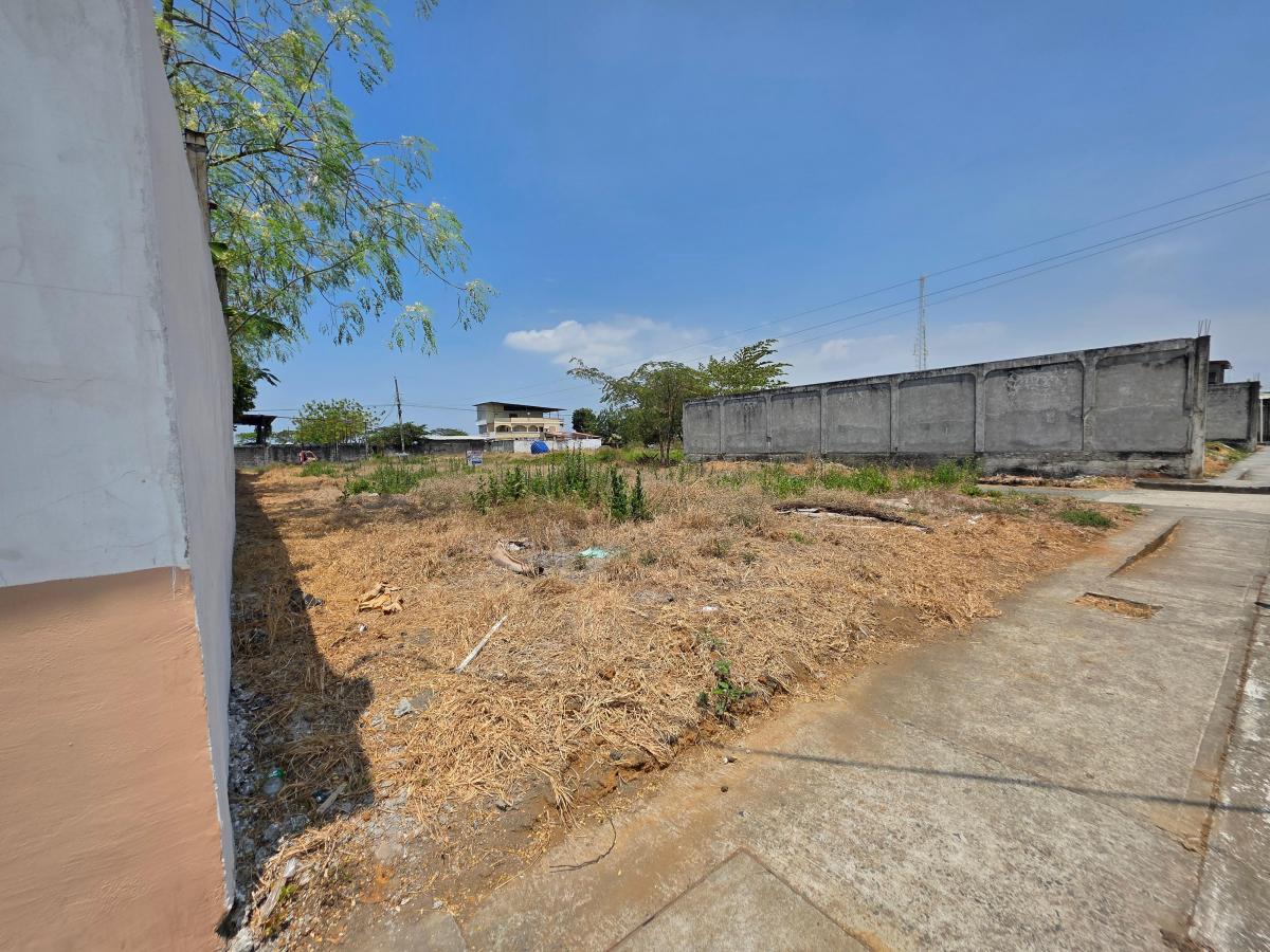 Vendo Terrenos en La Delicia, Samborondon, Guardiania 24/7, Guayas — imagen 3