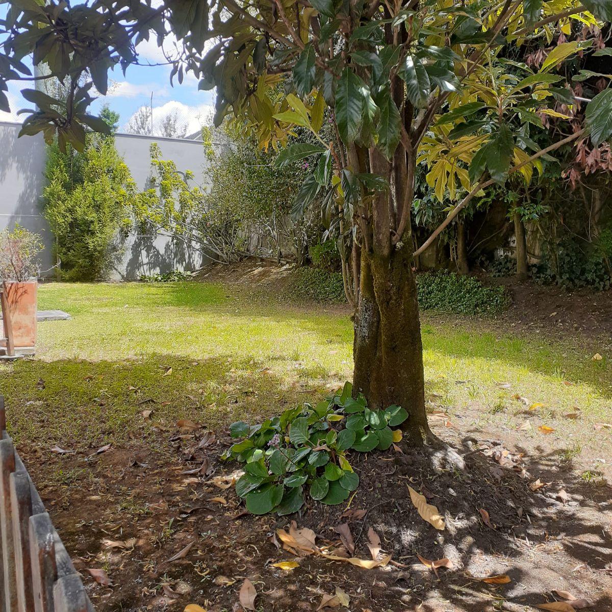 Vendo Casa Independiente en La Urbanización Miravalle 3 — imagen 4