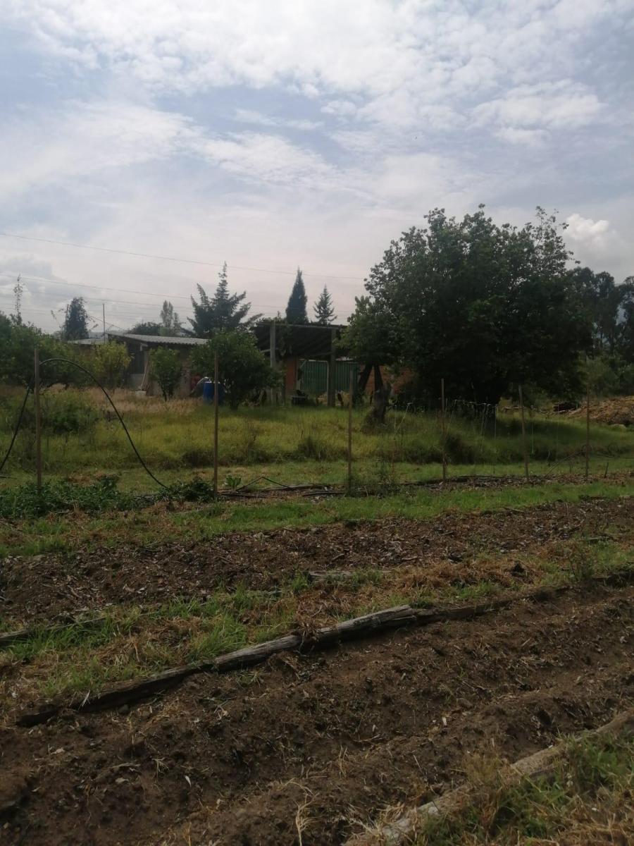 Inversionistas, Constructores, Tumbaco, Zona Central, Terreno Plano 6500 m², Papeles en Regla — imagen 3