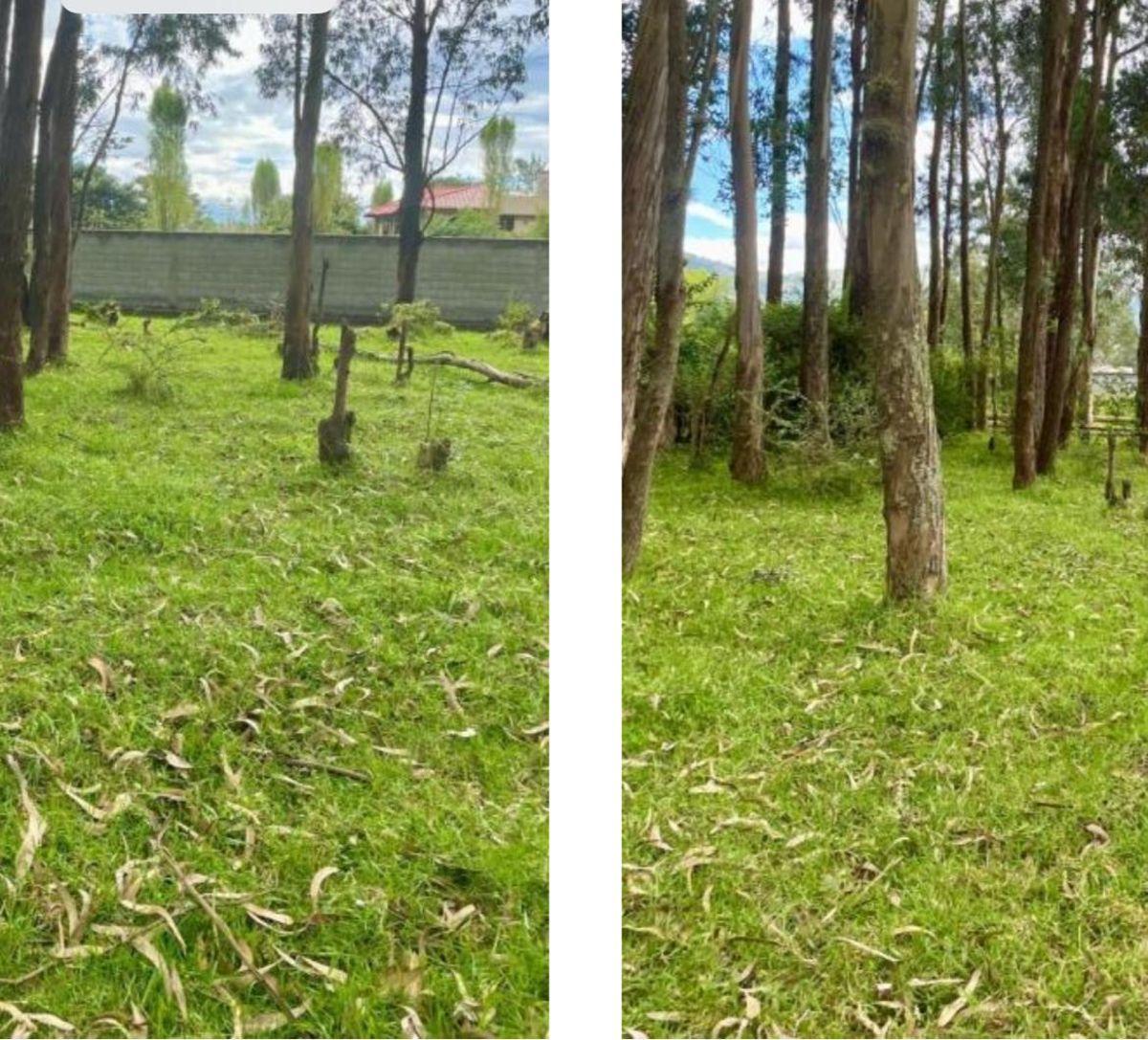 Terreno en Venta 5.000 m² Para Constructores, Inversionistas, Etc — imagen 3