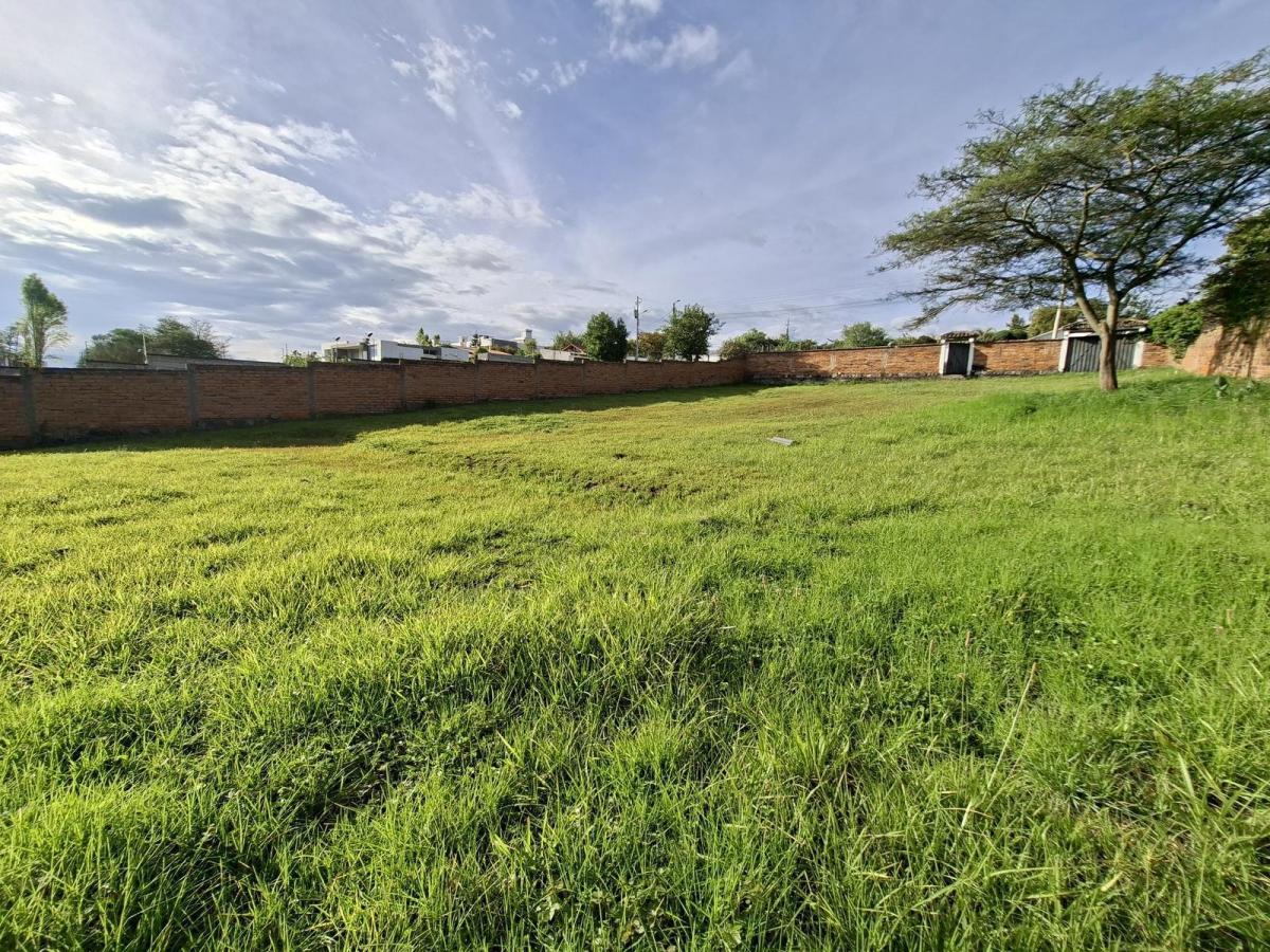 Vendo Hermoso Terreno La Morita Ideal Para Proyecto Inmobiliario — imagen 3