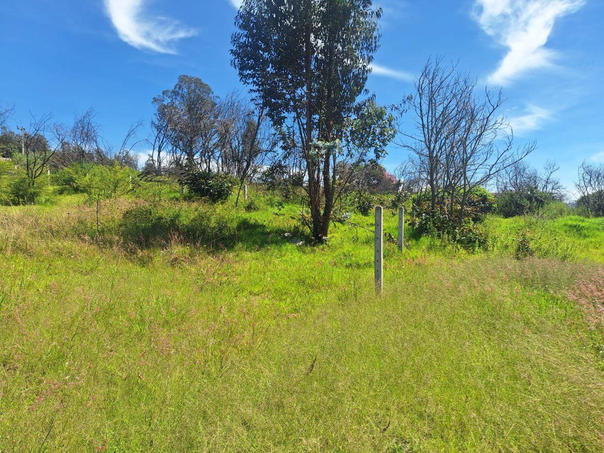 Venta Terreno en Nayon 8716 m² — imagen 3