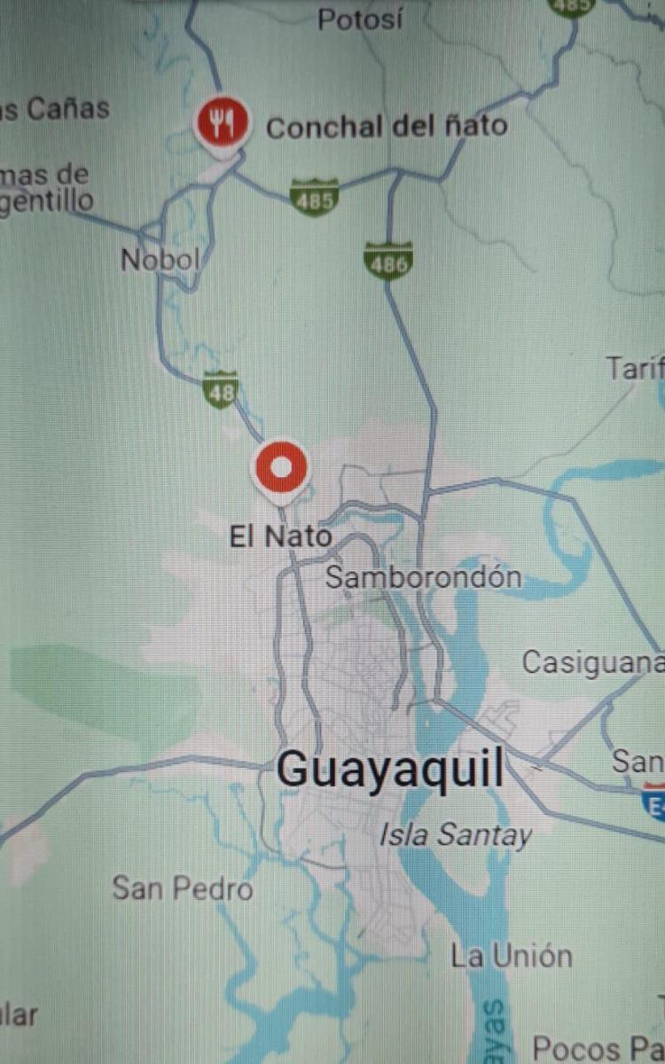 Venta de Terreno Industrial en La Vía a Daule - P. Jimenez, Guayas — imagen 4
