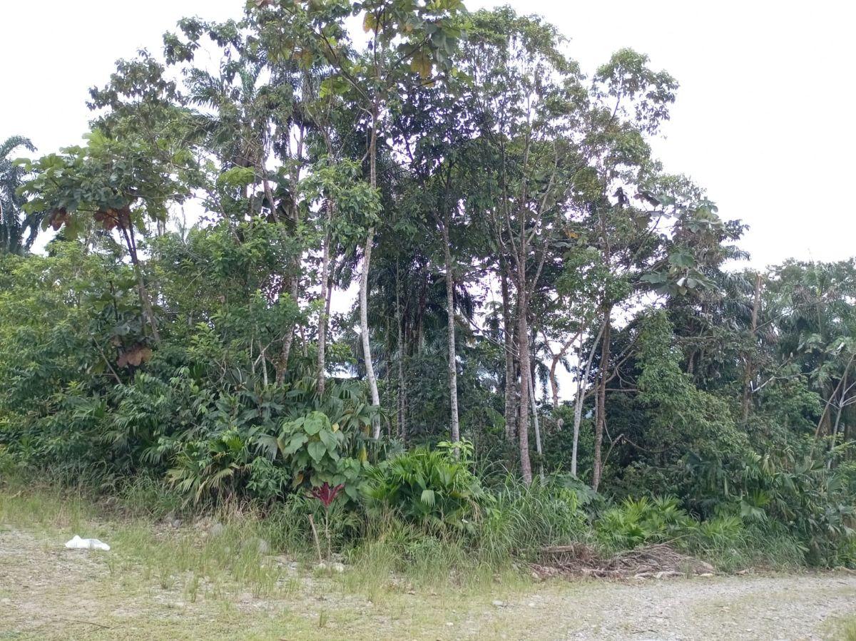 Terreno en Venta Sector Turístico Parroquia Pano - Tena, Napo — imagen 4