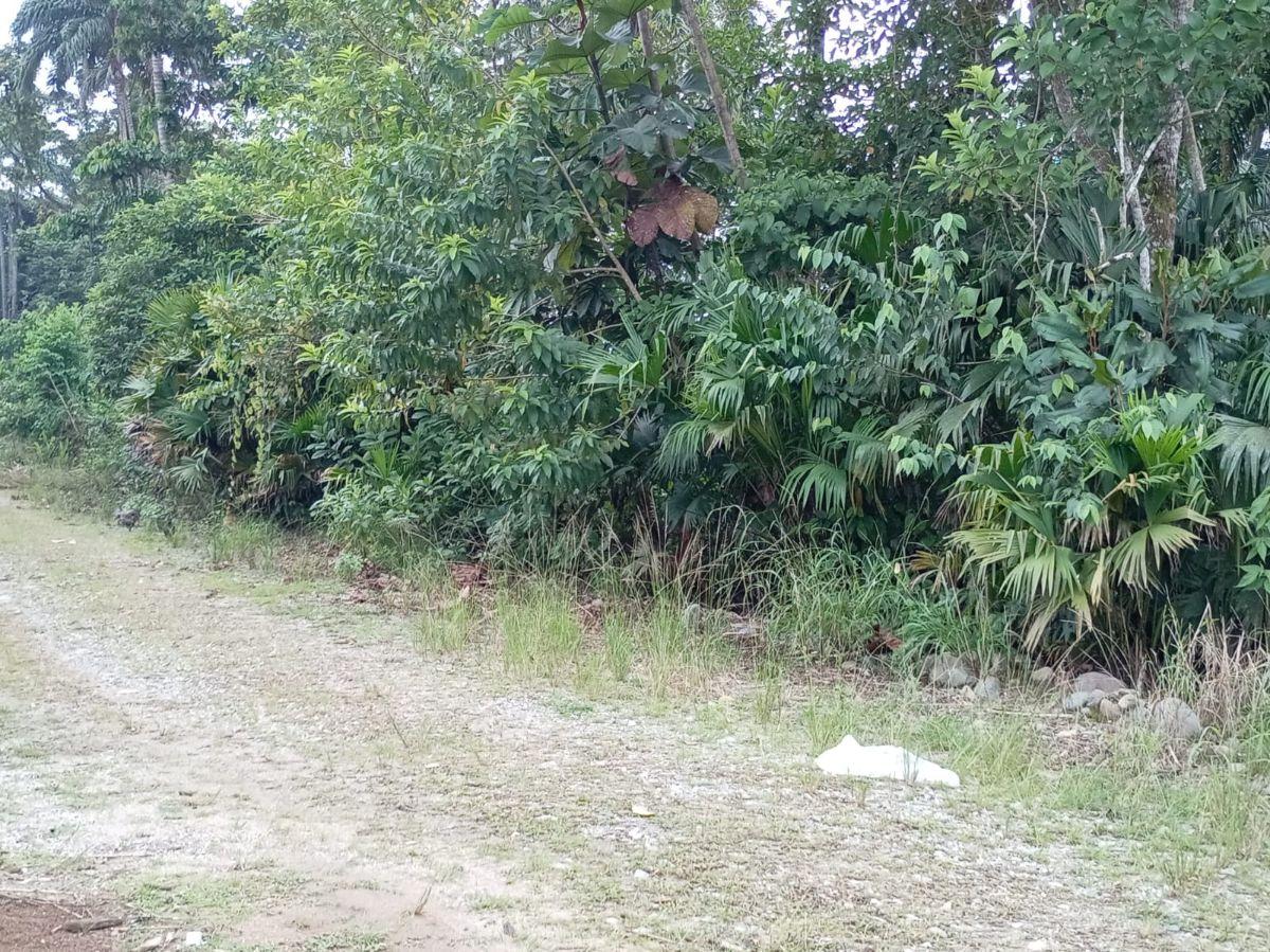Terreno en Venta Sector Turístico Parroquia Pano - Tena, Napo — imagen 3