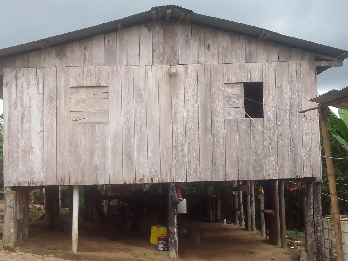 Se Vende Finca Ganadera de 45 Hectáreas en Pedro Vicente Maldonado Km 104 — imagen 4