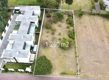 Puembo - Via Marquesina 1.250 m² en Venta Terreno Multifamiliar — imagen 5