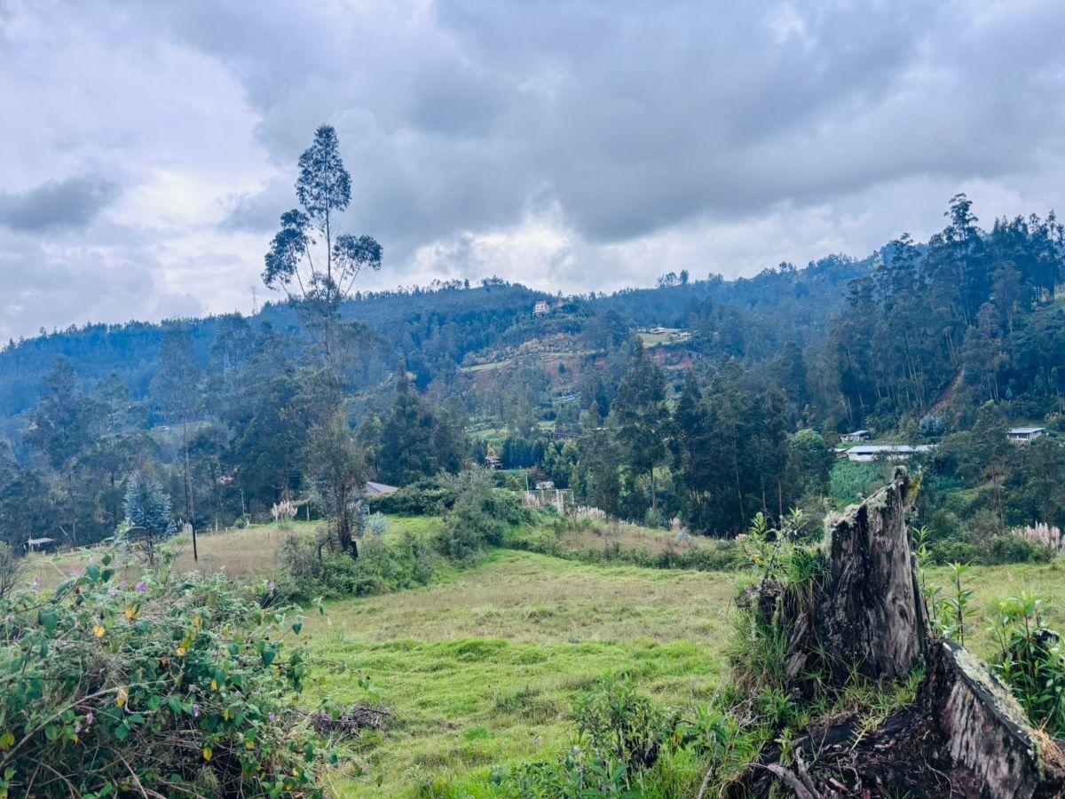 Terreno en Venta en Sidcay $39.000, Azuay — imagen 3