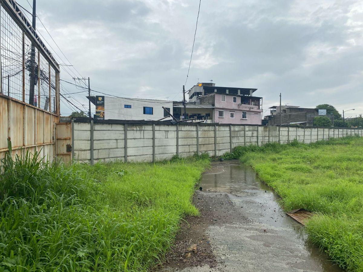 Terreno de 19500 m² en Venta en Mapasingue a Pocos m de La Via a Daule, Guayas — imagen 5