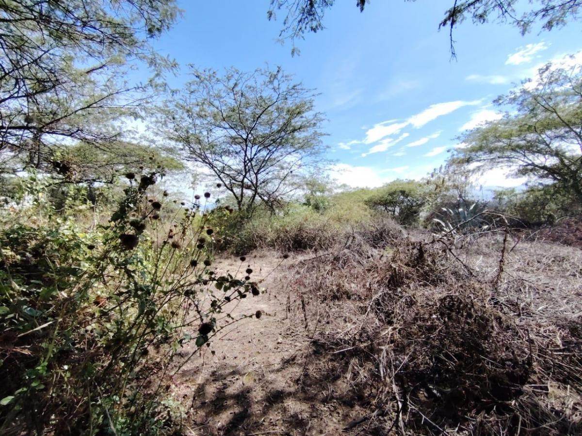 Vendo Terreno / Lote en Venta, Arrayanes, Urb. El Ingenio, Puembo — imagen 5