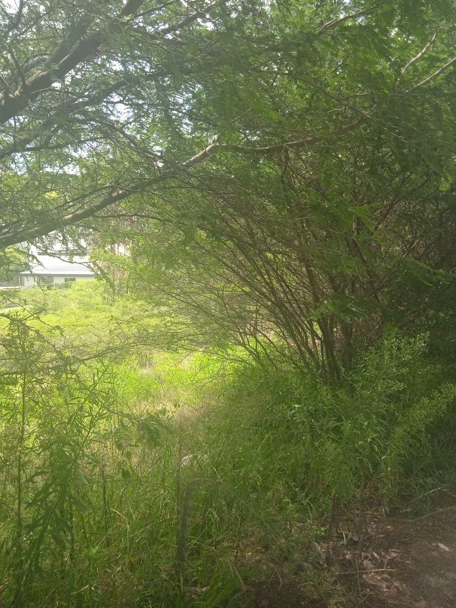 Hermoso Terreno en Urbanización de Lujo — imagen 5
