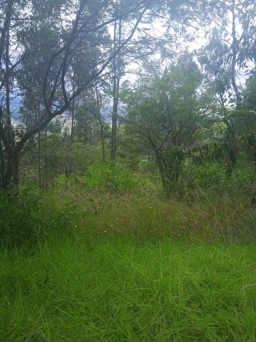 Hermoso Terreno en Urbanización de Lujo — imagen 3