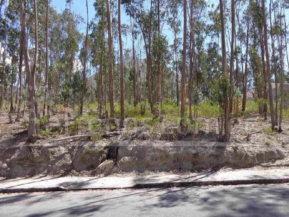 Terreno de Venta 490 m² Mitad del Mundo Urb. La Marca — imagen 5