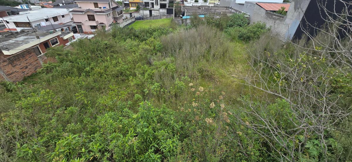 Se Vende Terreno en El Valle de Los Chillos — imagen 3