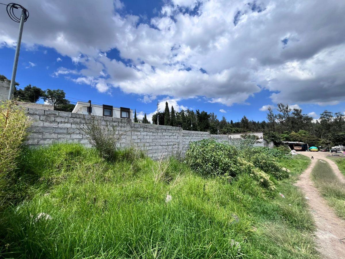 Terreno en Venta Tanda Nayón Para Proyecto Inmobiliario — imagen 5