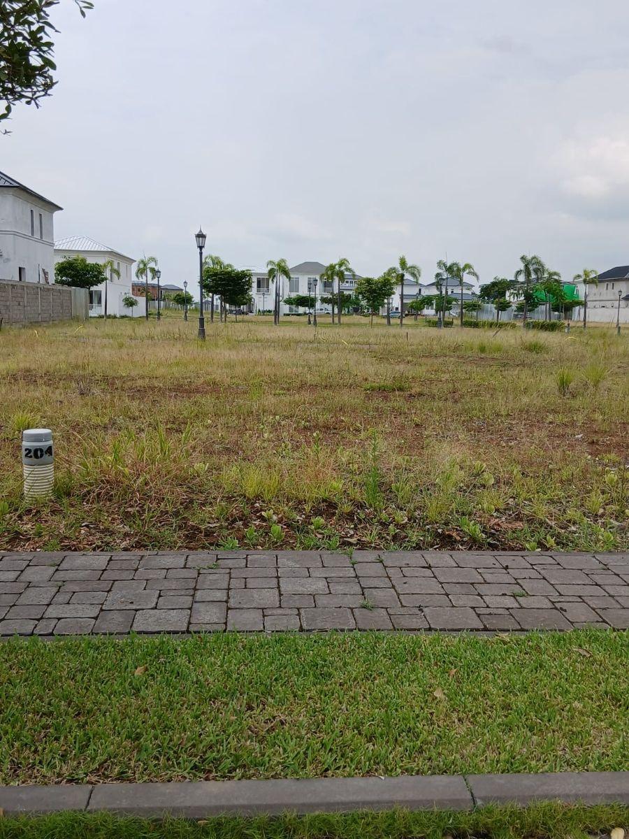 Aires del Norte Lindo Terreno Av Principal, Guayas — imagen 5