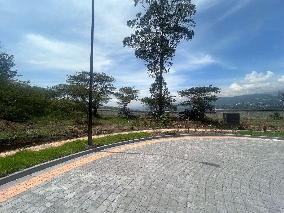 Terreno Napakuna Urbanizacion Exclusiva Tumbaco Collaqui — imagen 5