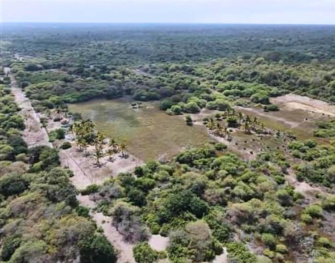 Se Vente Propiedad de 5.000 Has en La Isla Puná - en Venta, Guayas — imagen 5
