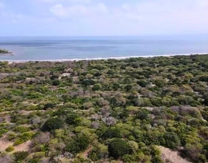 Se Vente Propiedad de 5.000 Has en La Isla Puná - en Venta, Guayas — imagen 4