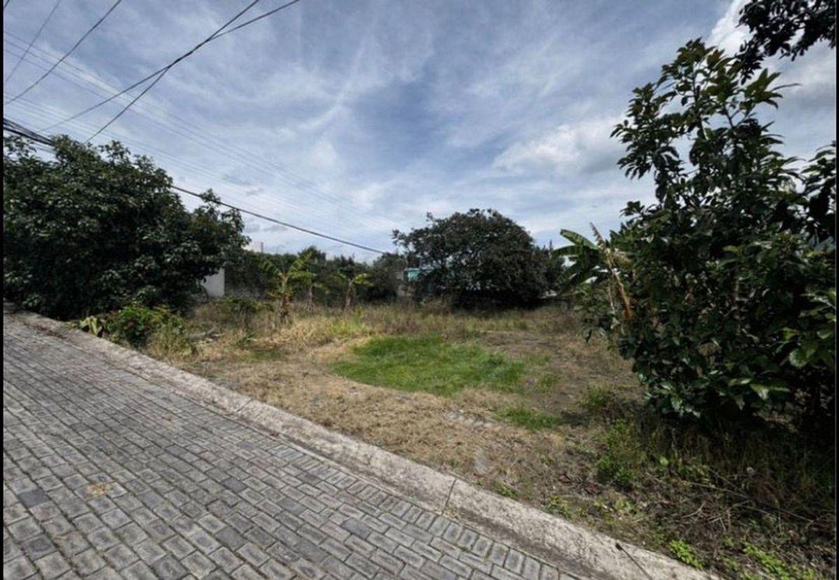 Venta Terreno / Alangasi Alta Plusvalia — imagen 5