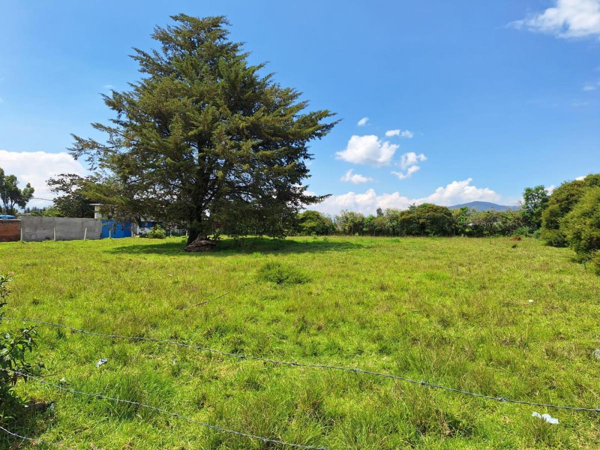 Venta Dos Terrenos Pifo, Itulcachi, Plano, Esquinero 2150 m² — imagen 4