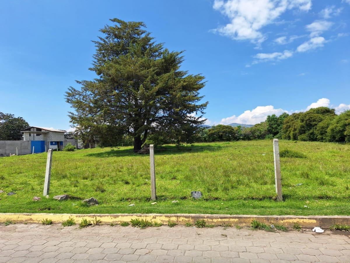 Venta Dos Terrenos Pifo, Itulcachi, Plano, Esquinero 2150 m² — imagen 3